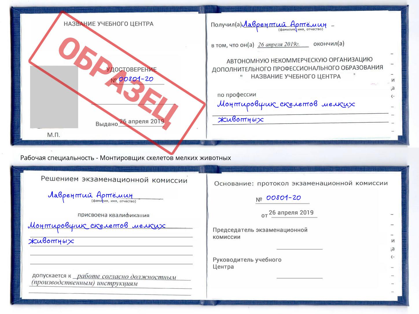 Монтировщик скелетов мелких животных Качканар
