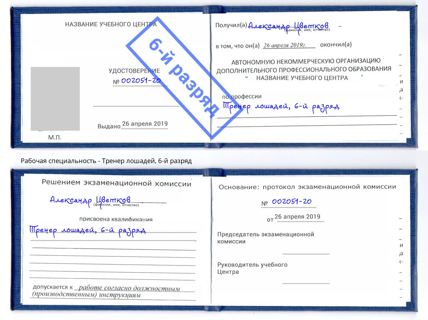 корочка 6-й разряд Тренер лошадей Качканар